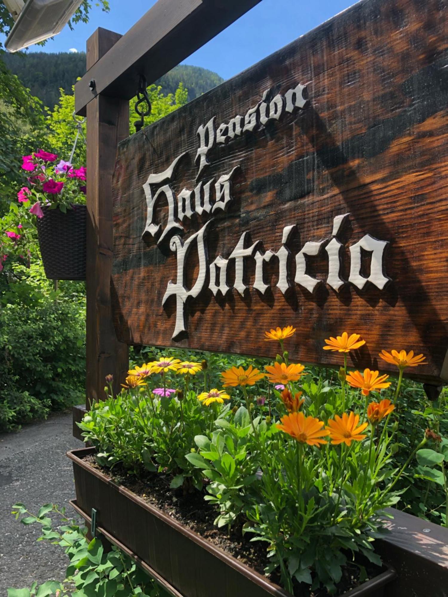 Haus Patricia Hotel Lofer Eksteriør billede